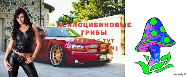 стафф Горняк