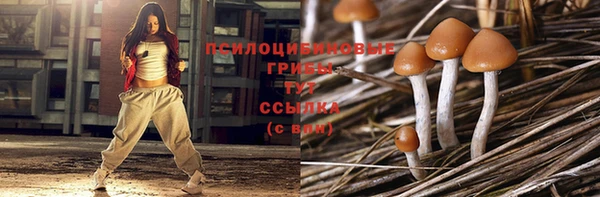дмт Горнозаводск